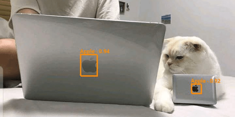presentation