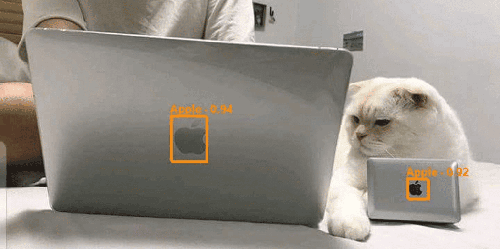 presentation