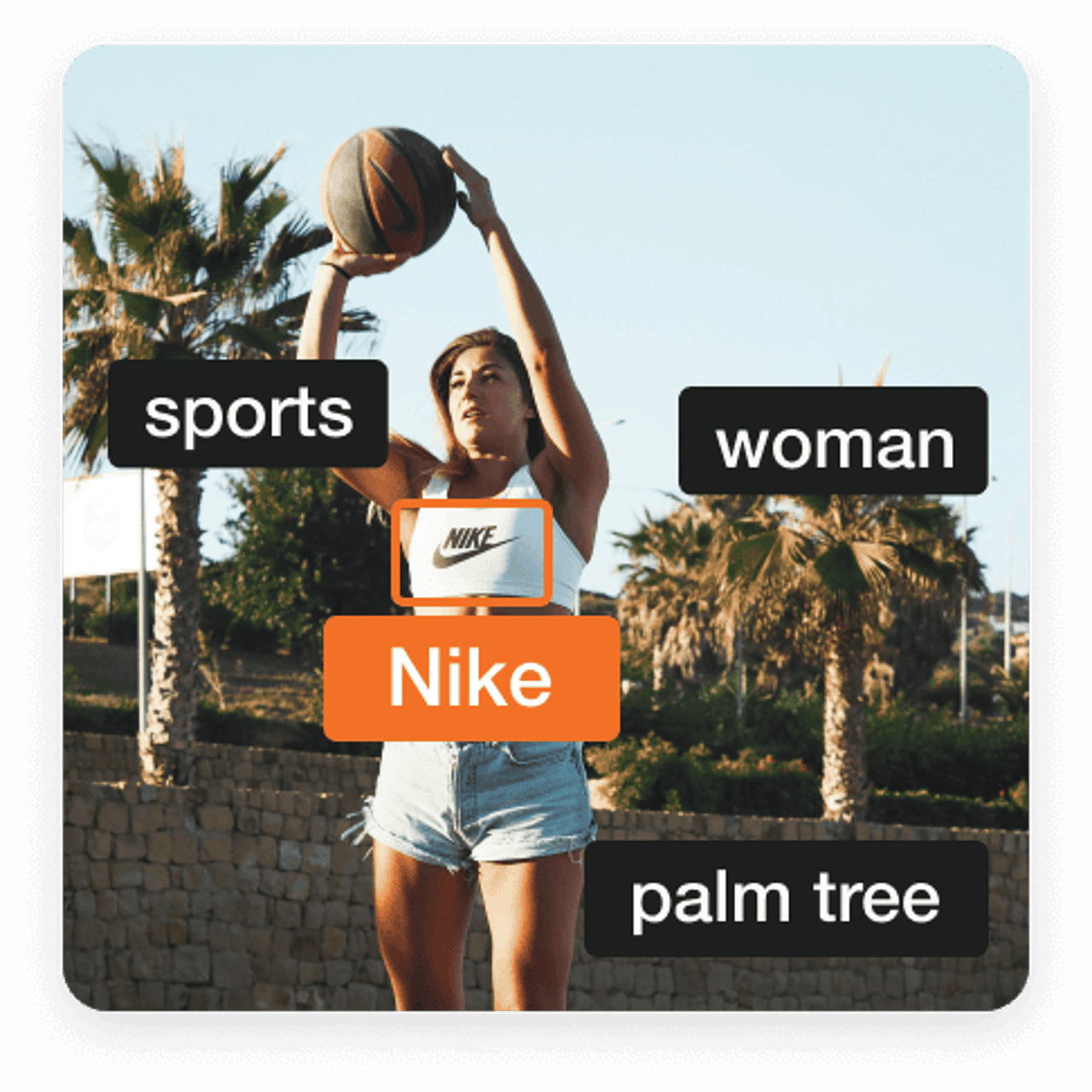 Visual analysis