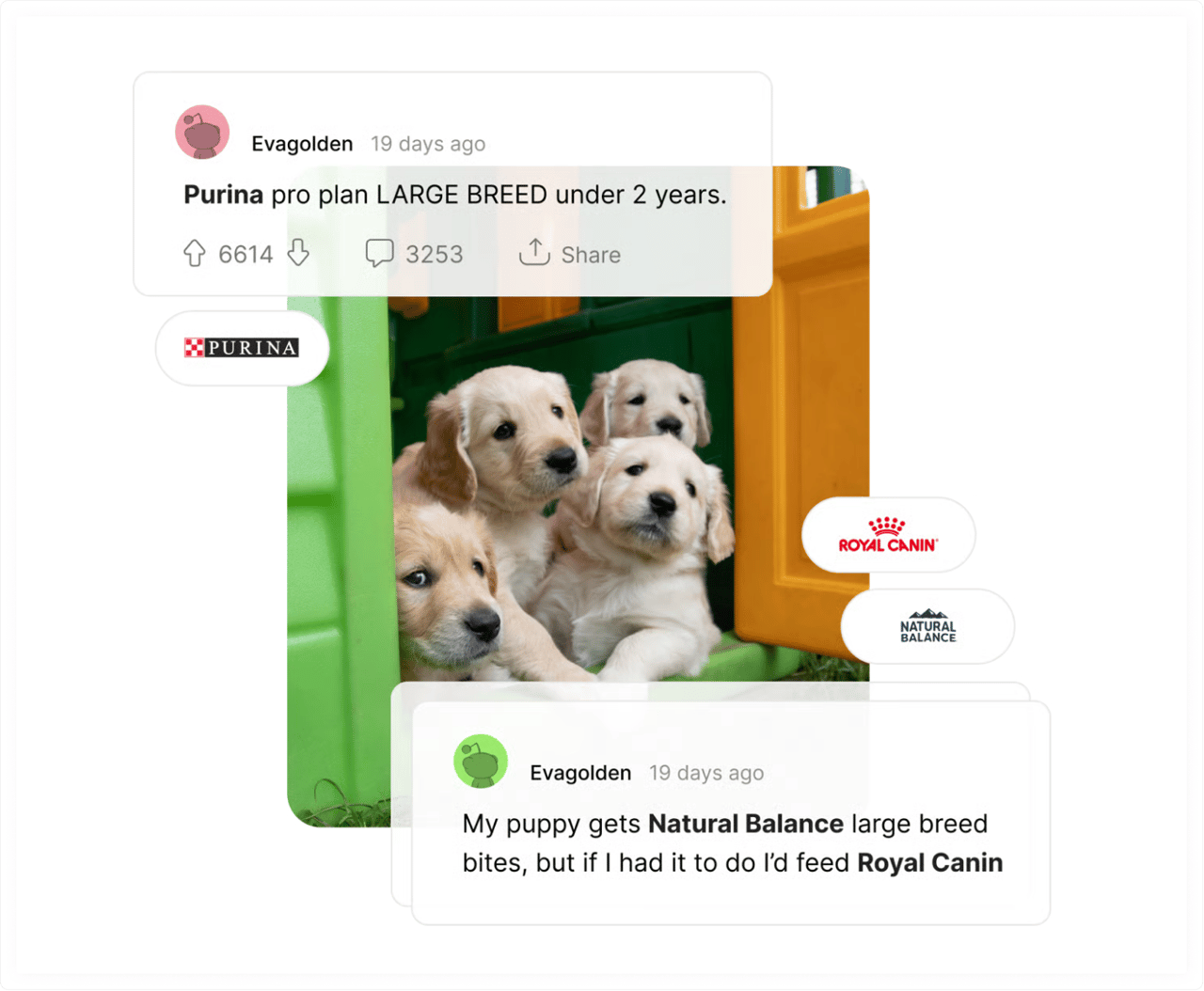  Competitor analysis, Purina, Natural Balance, & Royal Canin