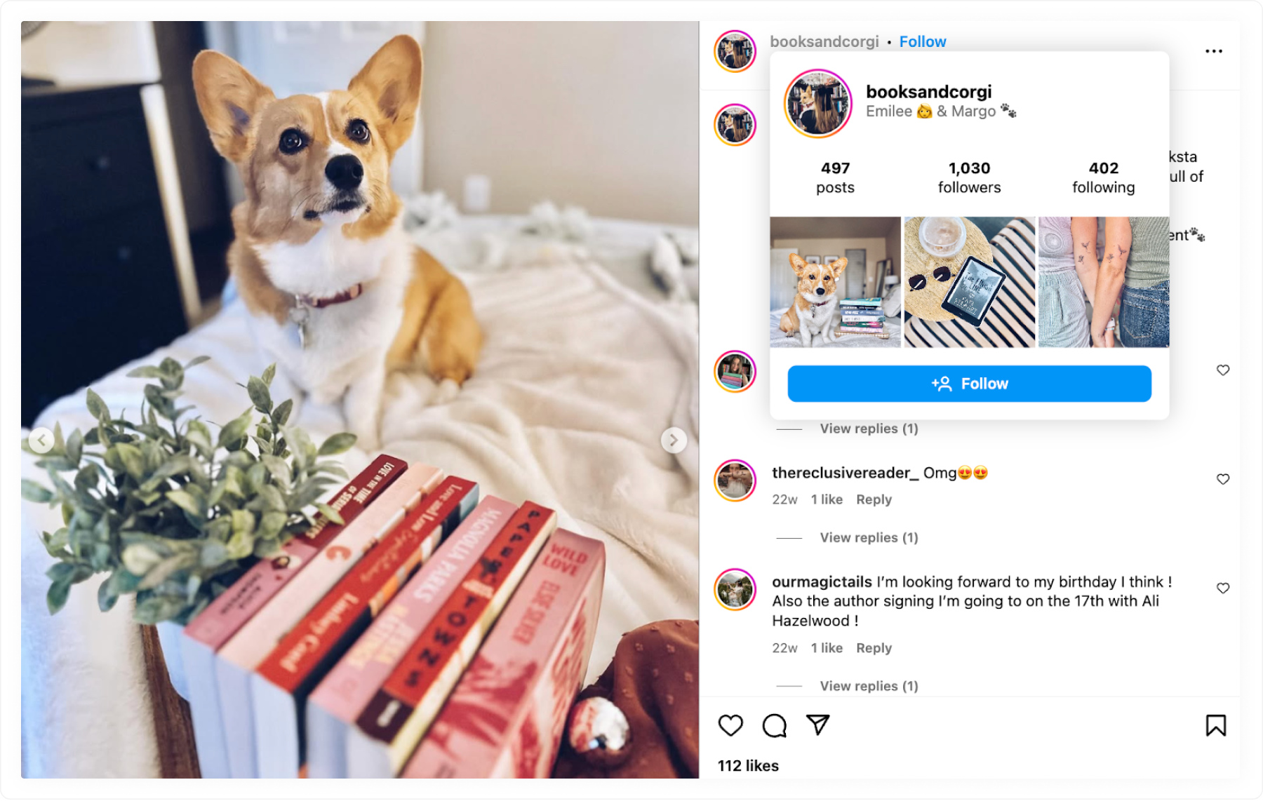 Corgi is a micro influencer on Instagram