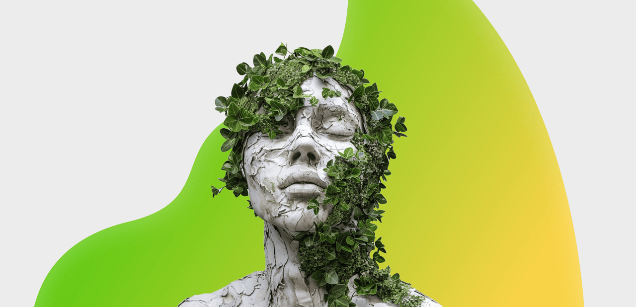 Análisis Visual del Diseño Biofílico: Cómo los Usuarios de Redes Sociales Interactúan con la Tendencia Inspirada en la Naturaleza