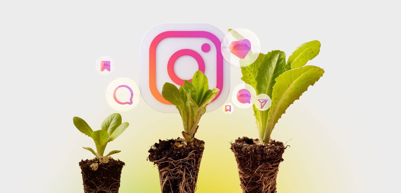 How to Boost Instagram Followers in 2025: A Data-Driven Guide