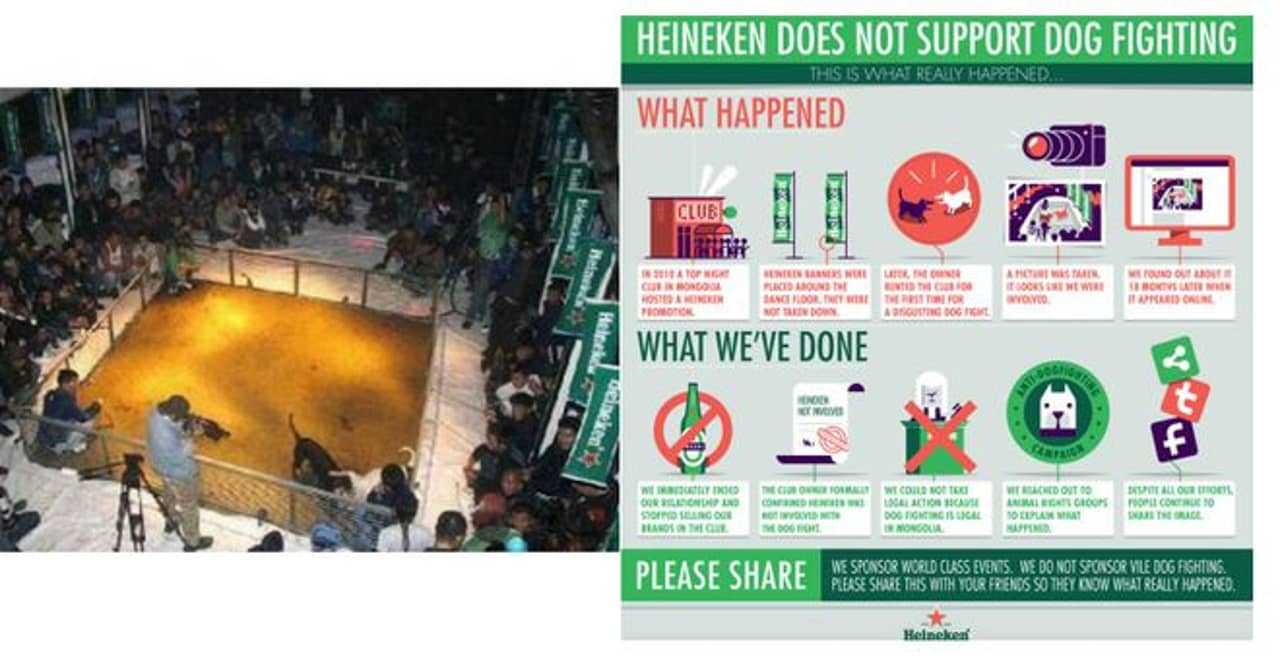 Heineken pelea de perros