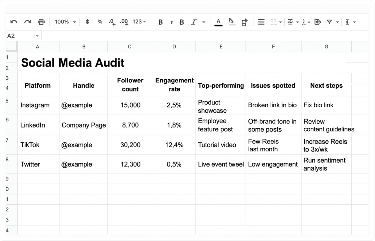 Social media audit examples